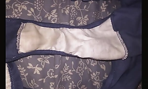 A Collection Of My Wife's Improper Panties